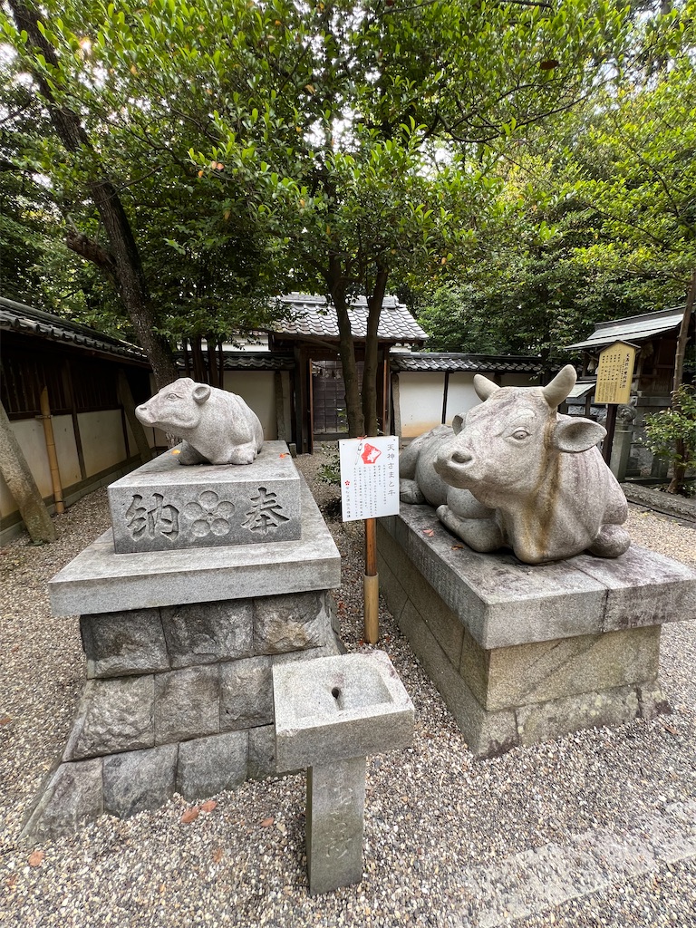 f:id:kiuso:20240919221125j:image
