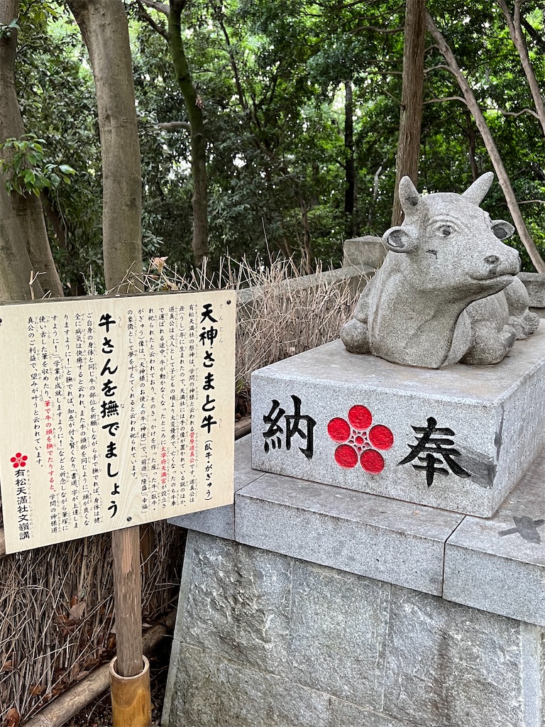 f:id:kiuso:20240919221142j:image