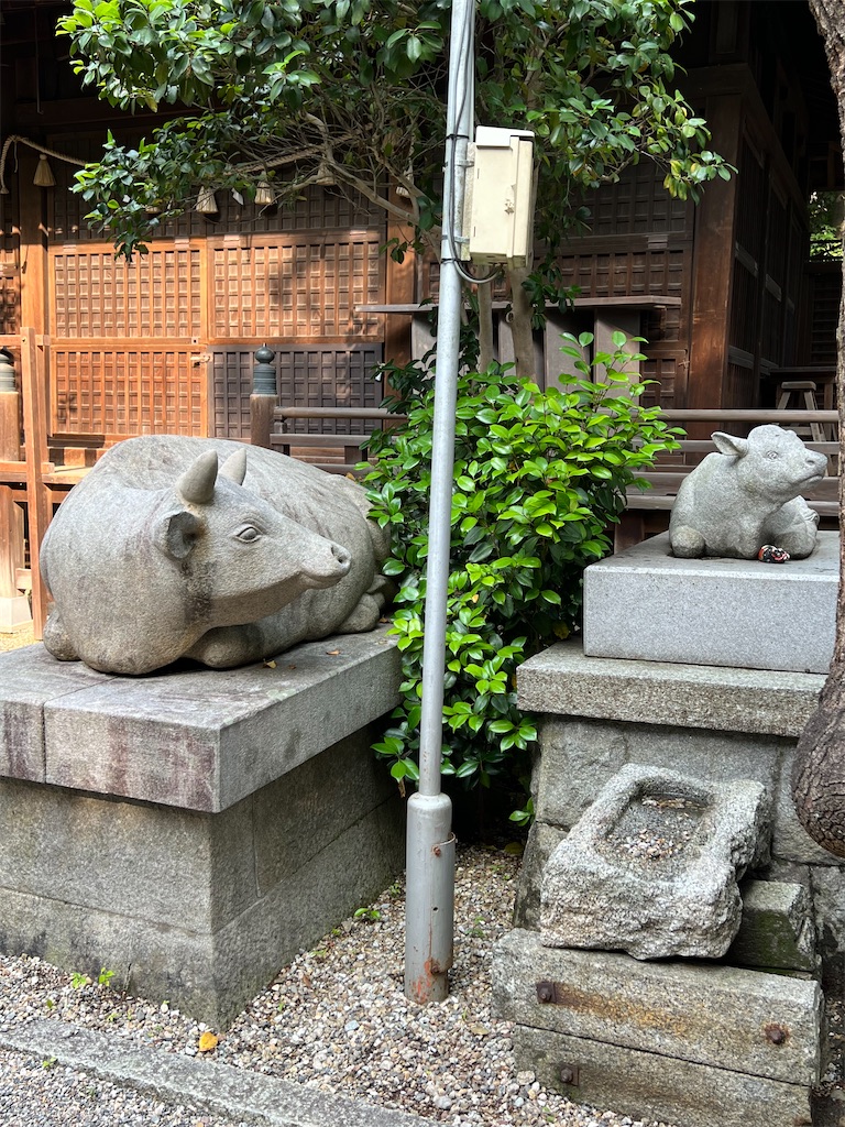 f:id:kiuso:20240919221158j:image