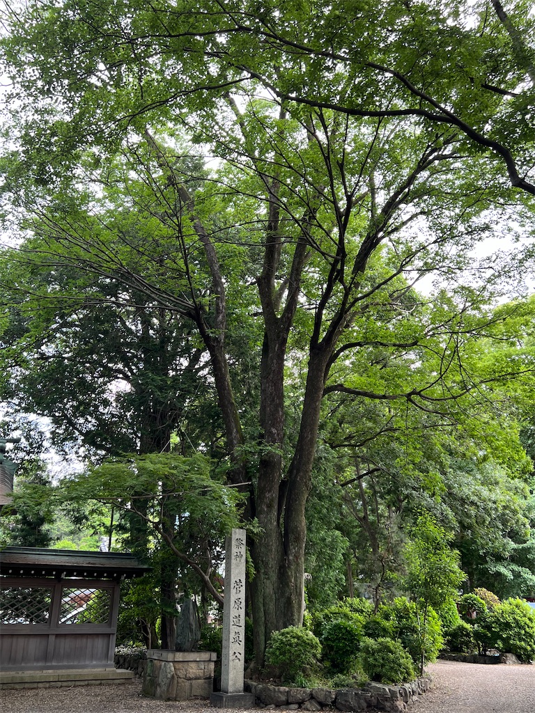 f:id:kiuso:20240923203419j:image