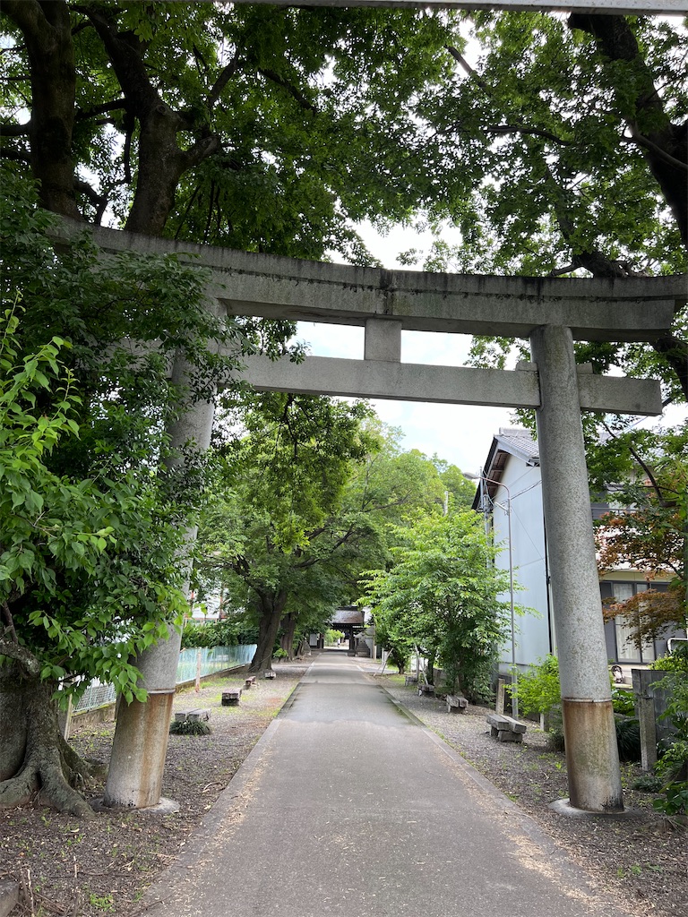 f:id:kiuso:20240923203438j:image