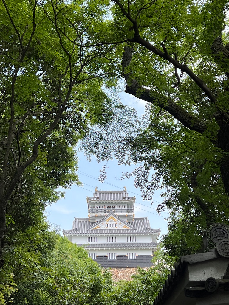 f:id:kiuso:20240923213753j:image