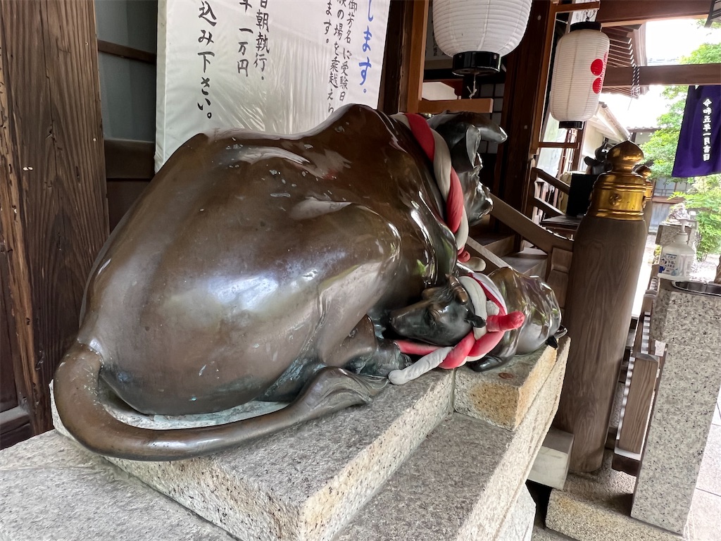 f:id:kiuso:20241006200706j:image