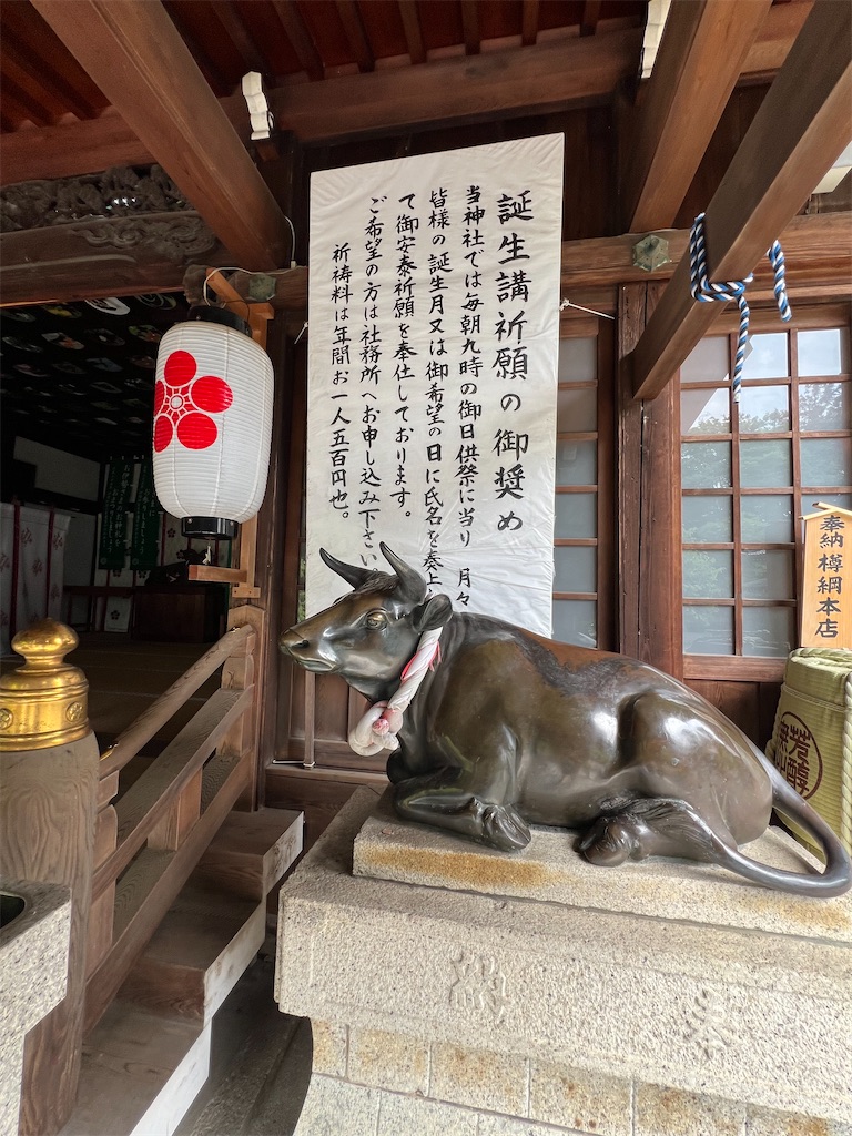 f:id:kiuso:20241006200717j:image