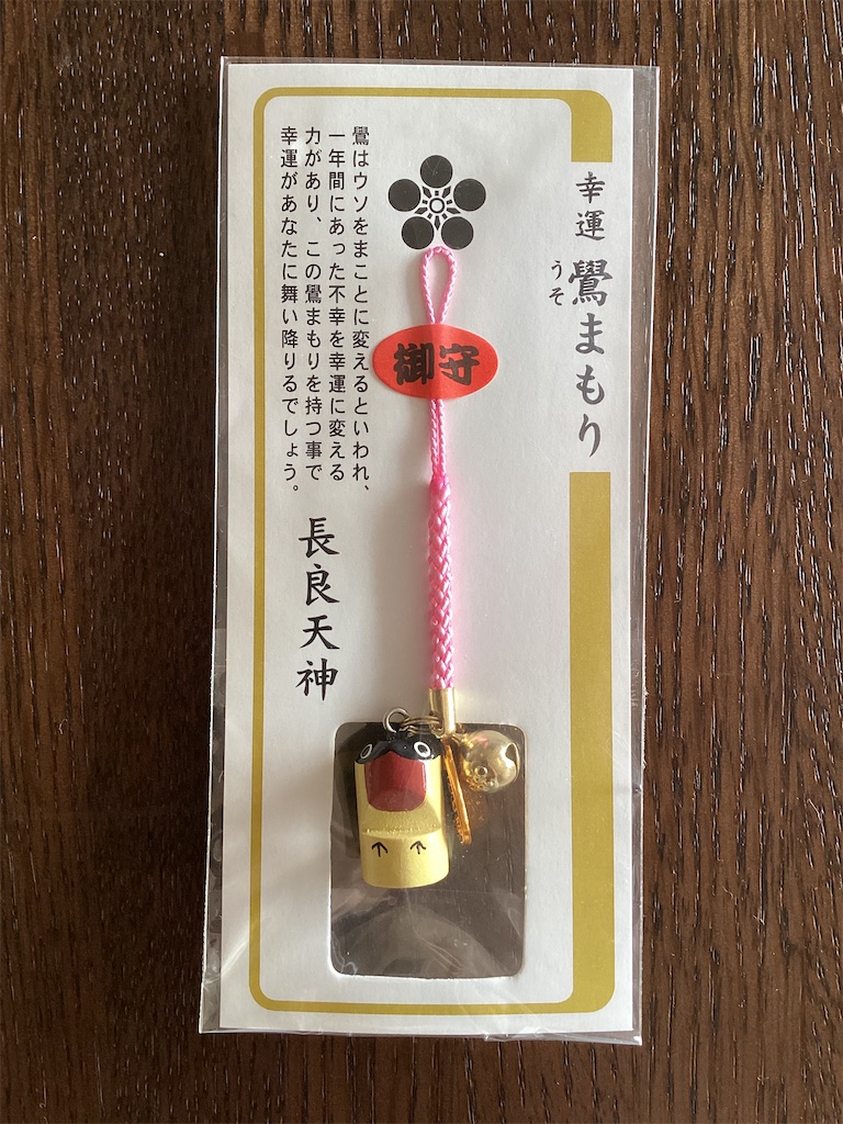 f:id:kiuso:20241105091046j:image