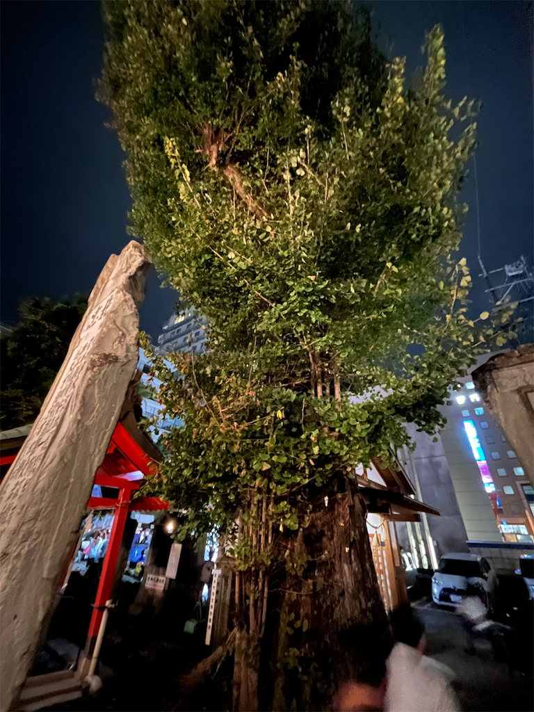 f:id:kiuso:20250405215343p:image