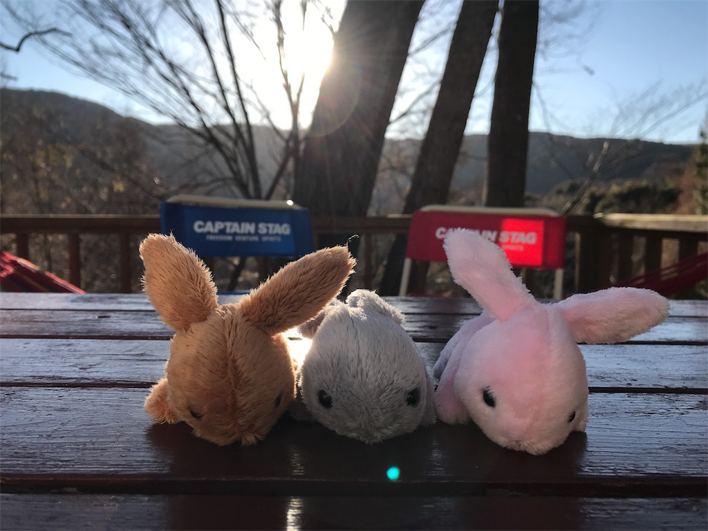 f:id:kivi06100601:20171228082743j:image