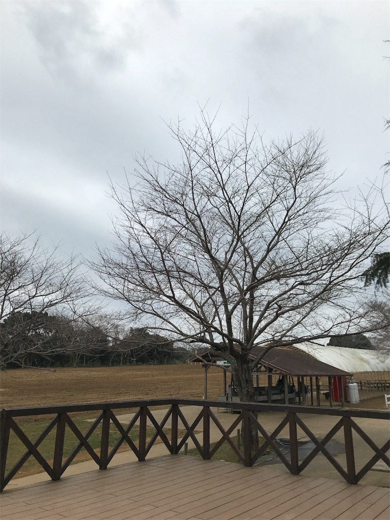 f:id:kivi06100601:20180227100159j:image