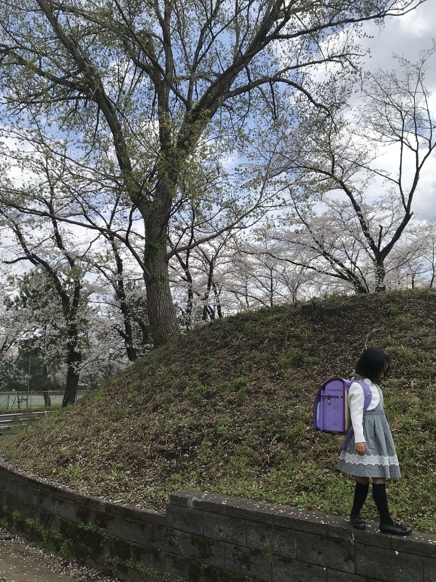 全国統一小学生テストを臨海セミナーで申し込みしました 小学1年生の娘の話 私とアルの365日