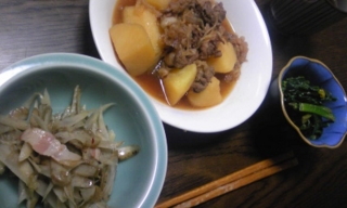 f:id:kiwa_irie:20110307025836j:image