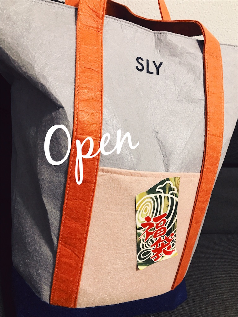 34 割引国内外の人気集結 Sly 17限定福袋 Sサイズ その他 レディース Www Stoilmgt Com