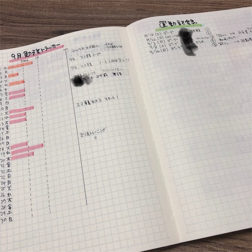f:id:kiwi2018:20180922071302j:image