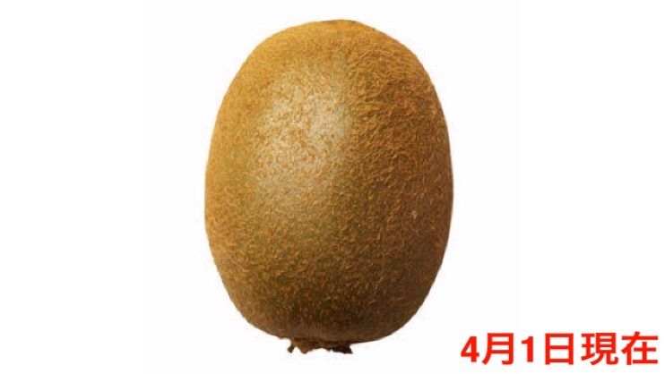 f:id:kiwi_0220:20180401150446j:image f:id:kiwi_0220:20180401150446j:image