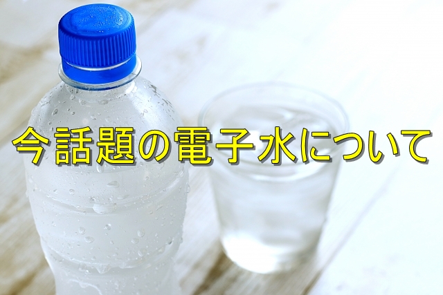 f:id:kiwipan:20190130143852j:plain