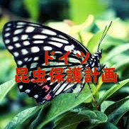 f:id:kiwipan:20190220165625j:plain