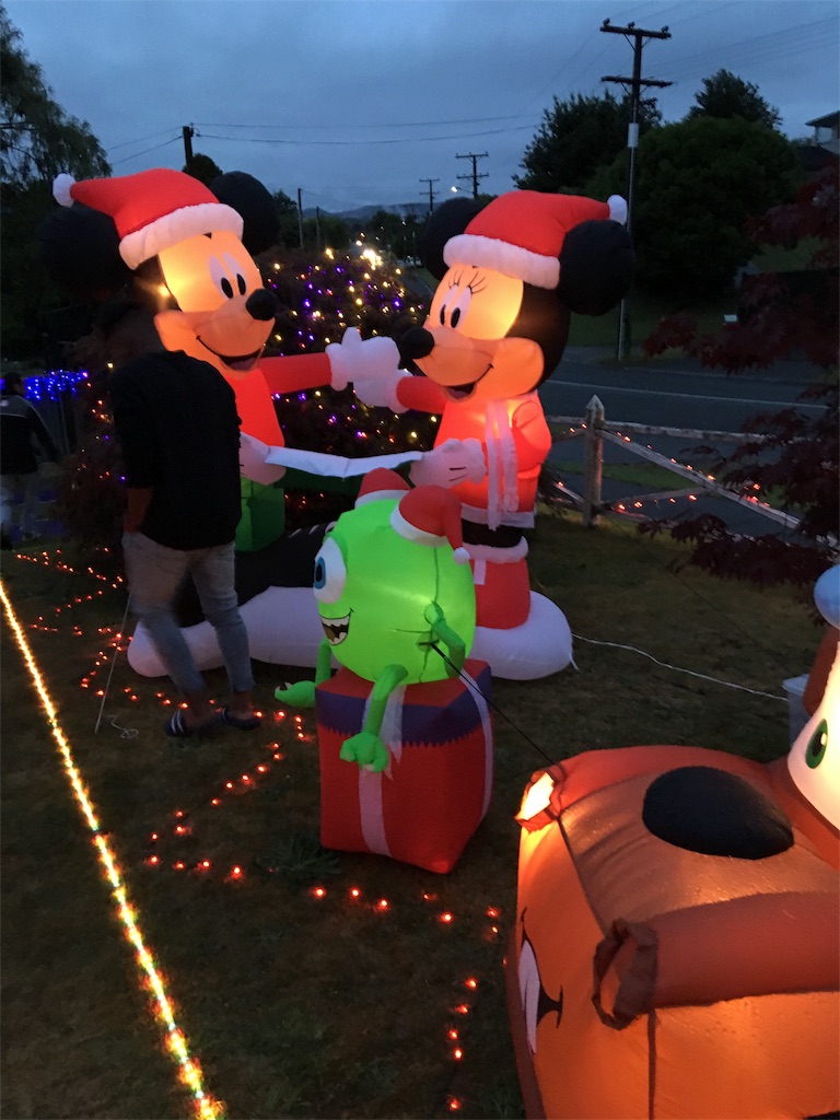 f:id:kiwipukeko:20181225092758j:image f:id:kiwipukeko:20181225092758j:image