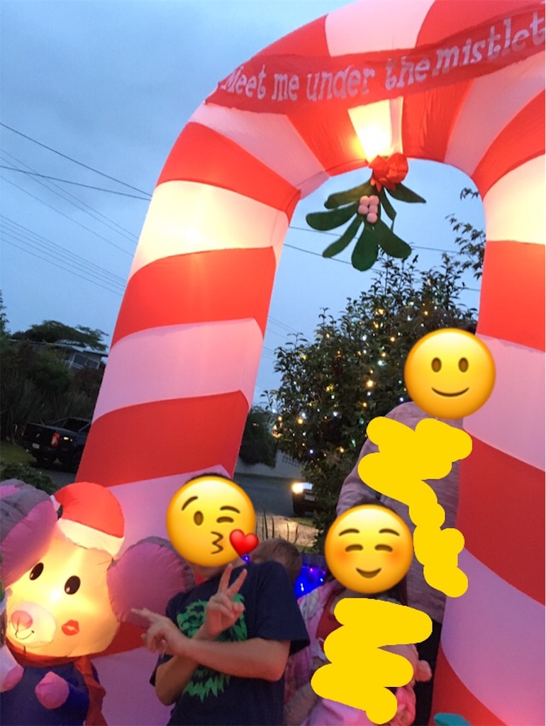 f:id:kiwipukeko:20181225092802j:image f:id:kiwipukeko:20181225092802j:image