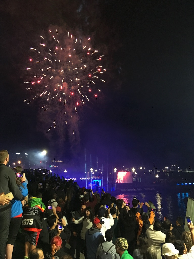f:id:kiwipukeko:20190101104958j:image f:id:kiwipukeko:20190101104958j:image