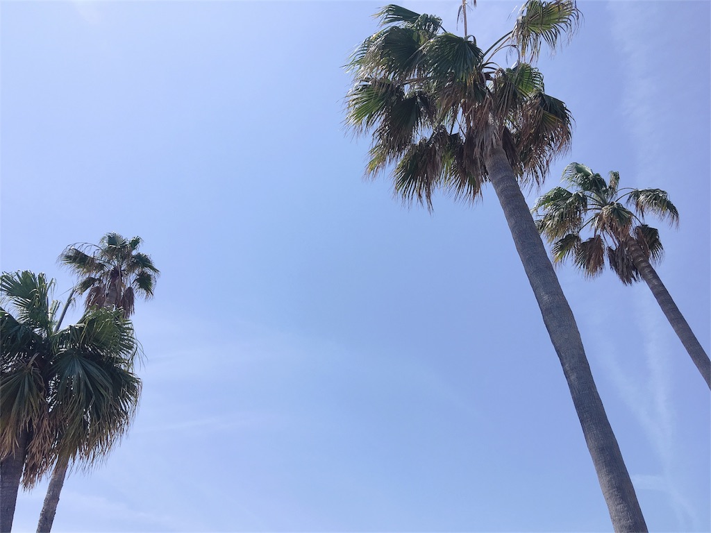 f:id:kiwipukeko:20190521211903j:image f:id:kiwipukeko:20190521211903j:image