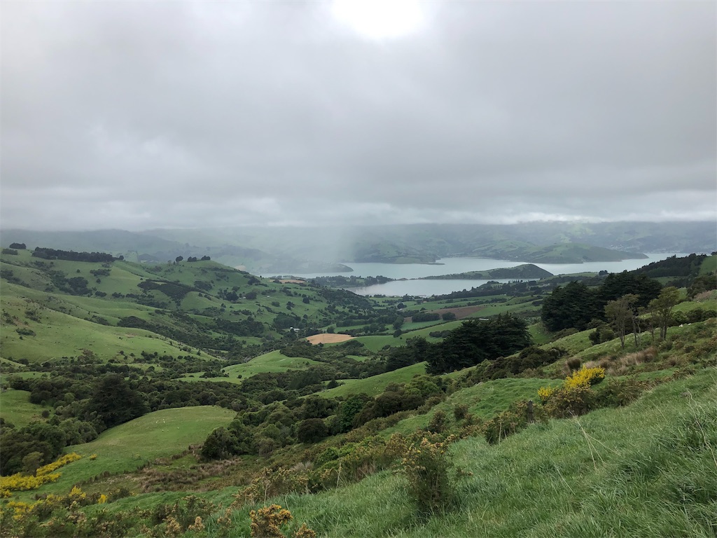 f:id:kiwipukeko:20191116181841j:image f:id:kiwipukeko:20191116181841j:image
