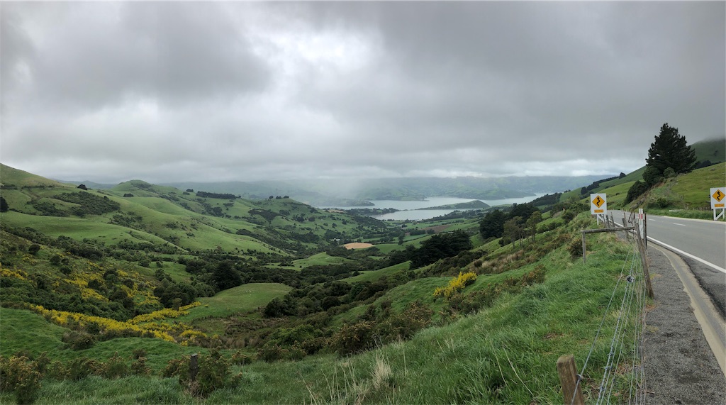 f:id:kiwipukeko:20191116181846j:image f:id:kiwipukeko:20191116181846j:image