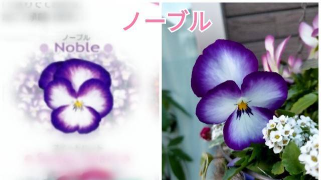 f:id:kixi2021:20210316130430j:image