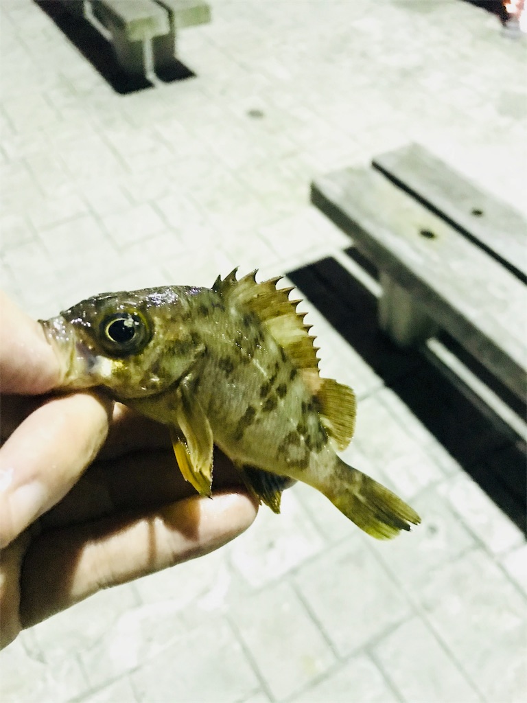 f:id:kixxsix:20180708071054j:image f:id:kixxsix:20180708071054j:image