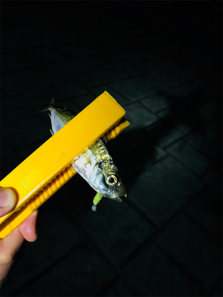 f:id:kixxsix:20180708074315j:image f:id:kixxsix:20180708074315j:image