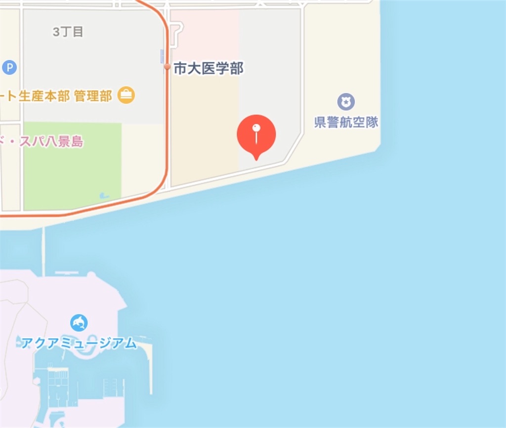 福浦タチウオをジグで釣る ヒットルアーとタックルセレクトを紹介 まことの偏屈日誌
