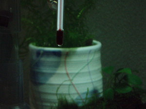 f:id:kiy-upa:20070123221740j:image