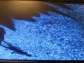 20091111035533