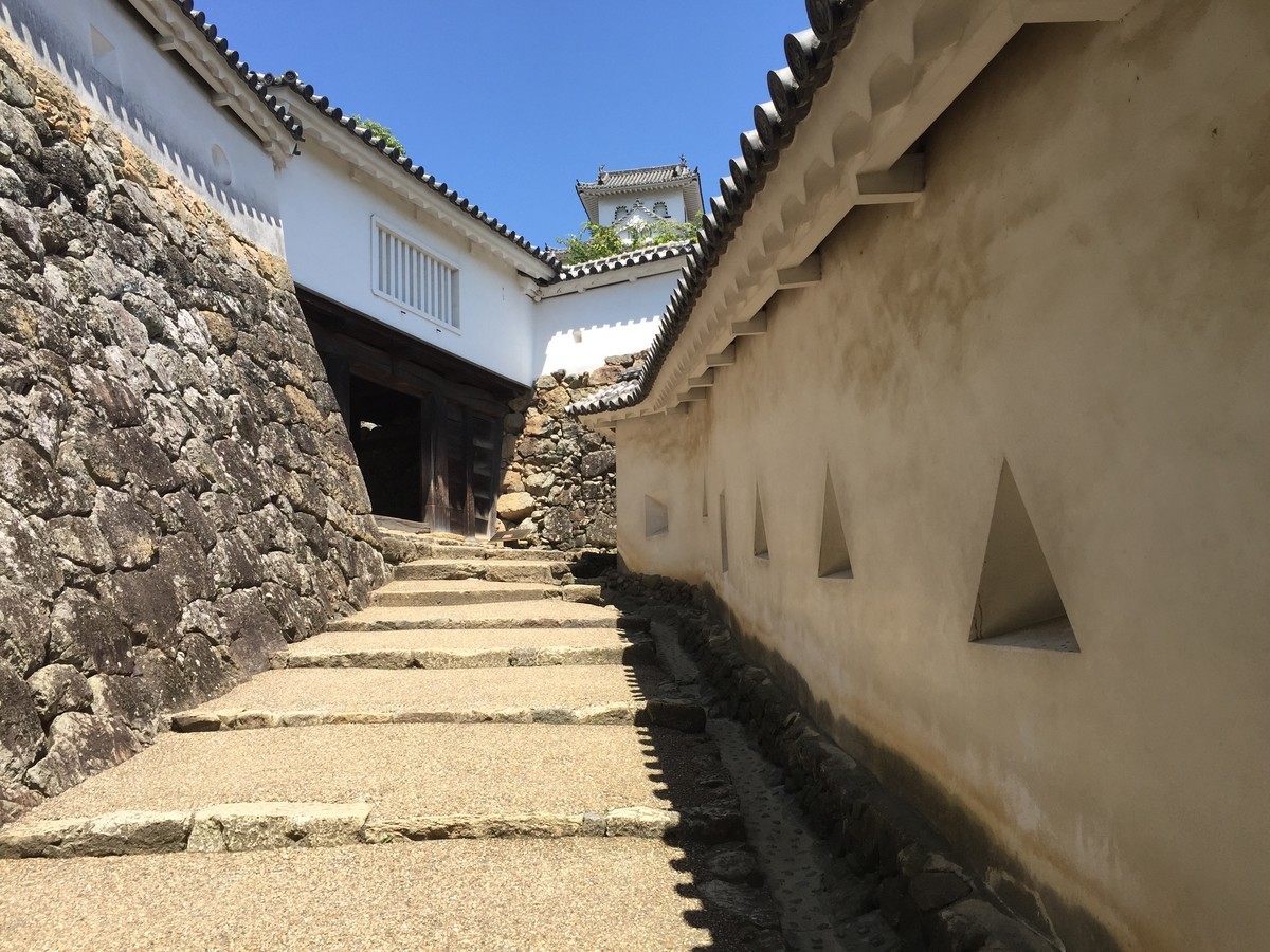 f:id:kiyasu:20200302214205j:plain f:id:kiyasu:20200302214205j:plain