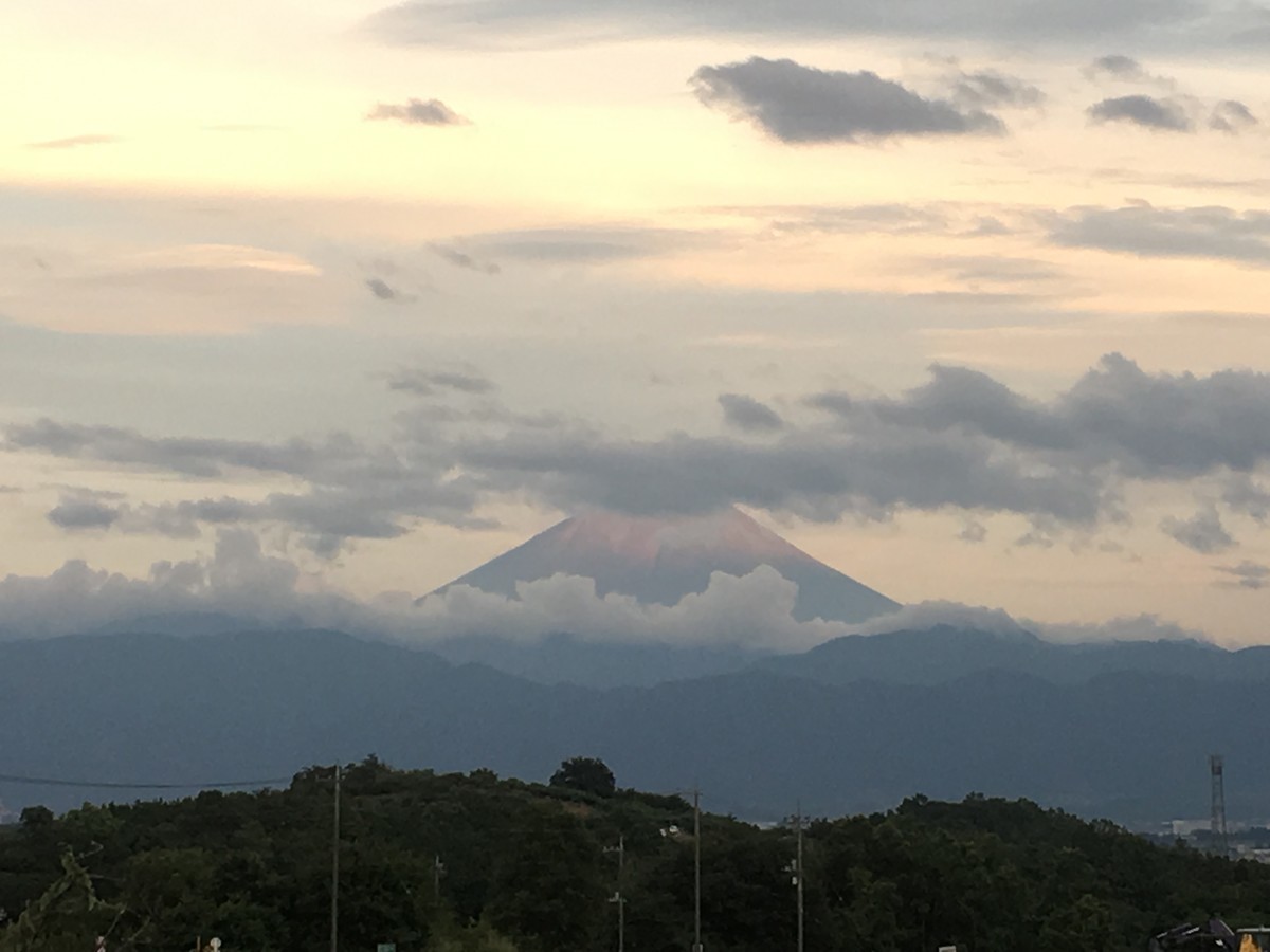 f:id:kiyasu:20200305205502j:plain f:id:kiyasu:20200305205502j:plain