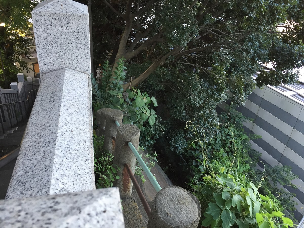 f:id:kiyasu:20200305230954j:plain f:id:kiyasu:20200305230954j:plain