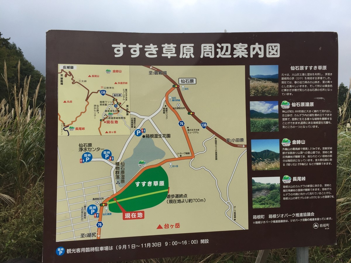 f:id:kiyasu:20200306002821j:plain f:id:kiyasu:20200306002821j:plain