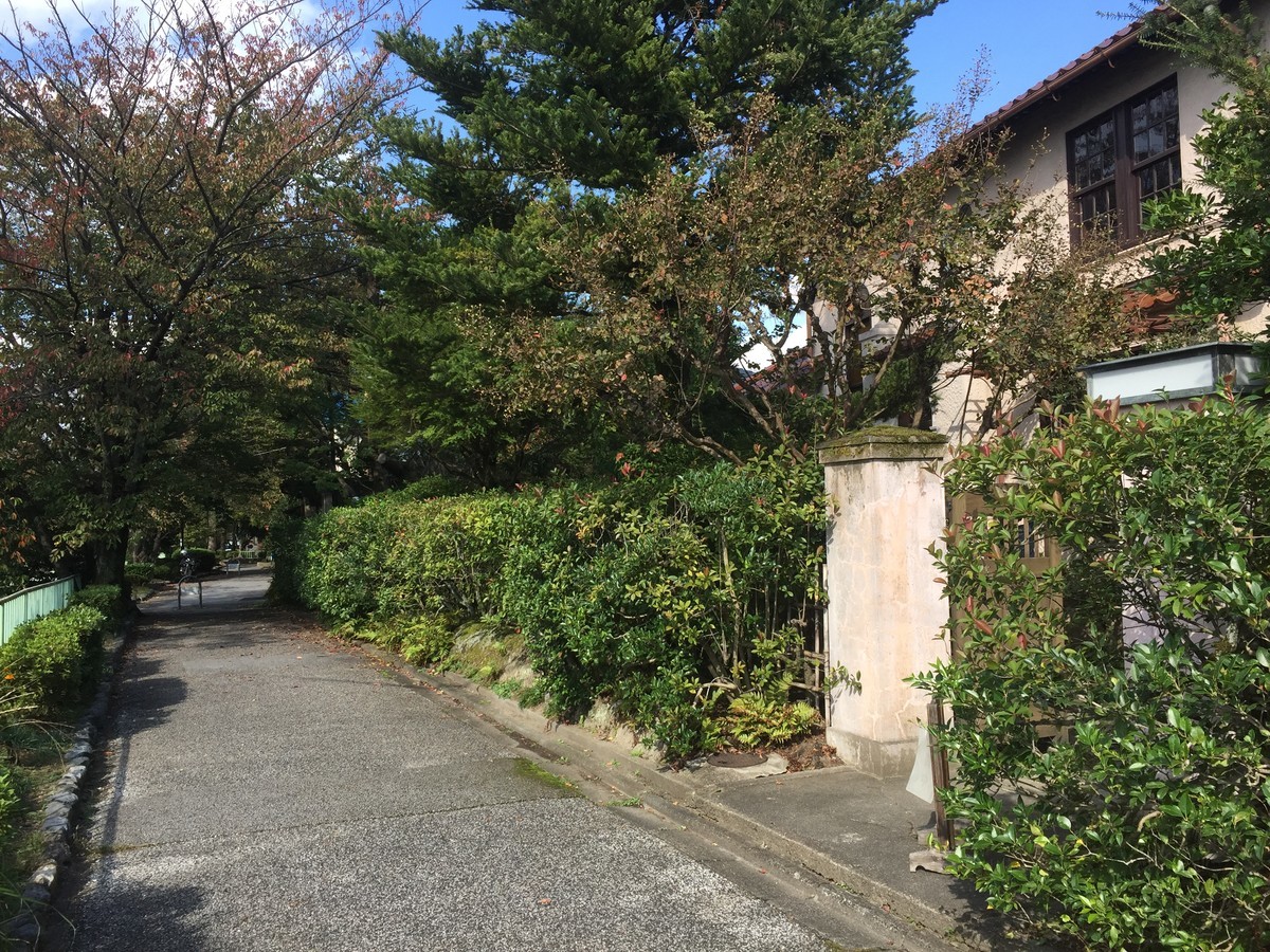 f:id:kiyasu:20200306003113j:plain f:id:kiyasu:20200306003113j:plain