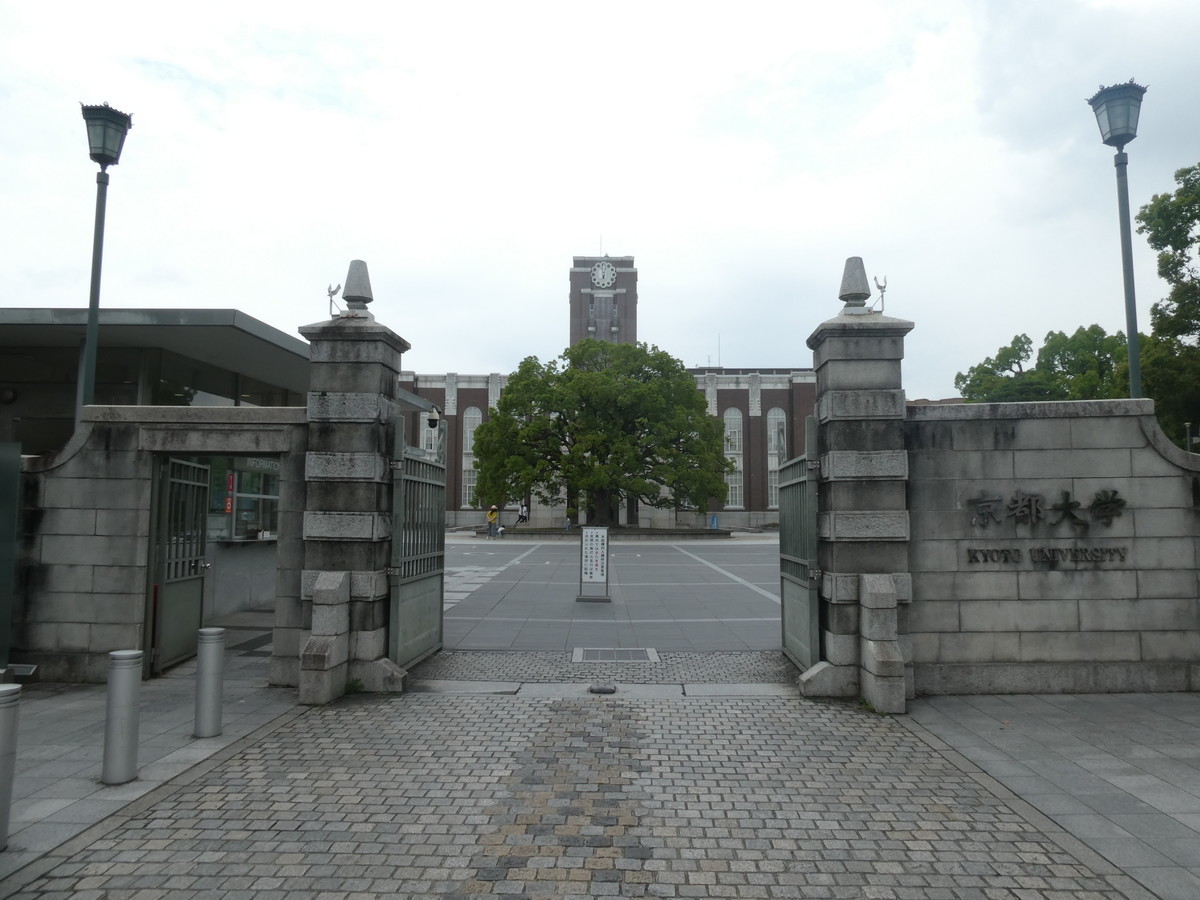 f:id:kiyasu:20200307224531j:plain f:id:kiyasu:20200307224531j:plain