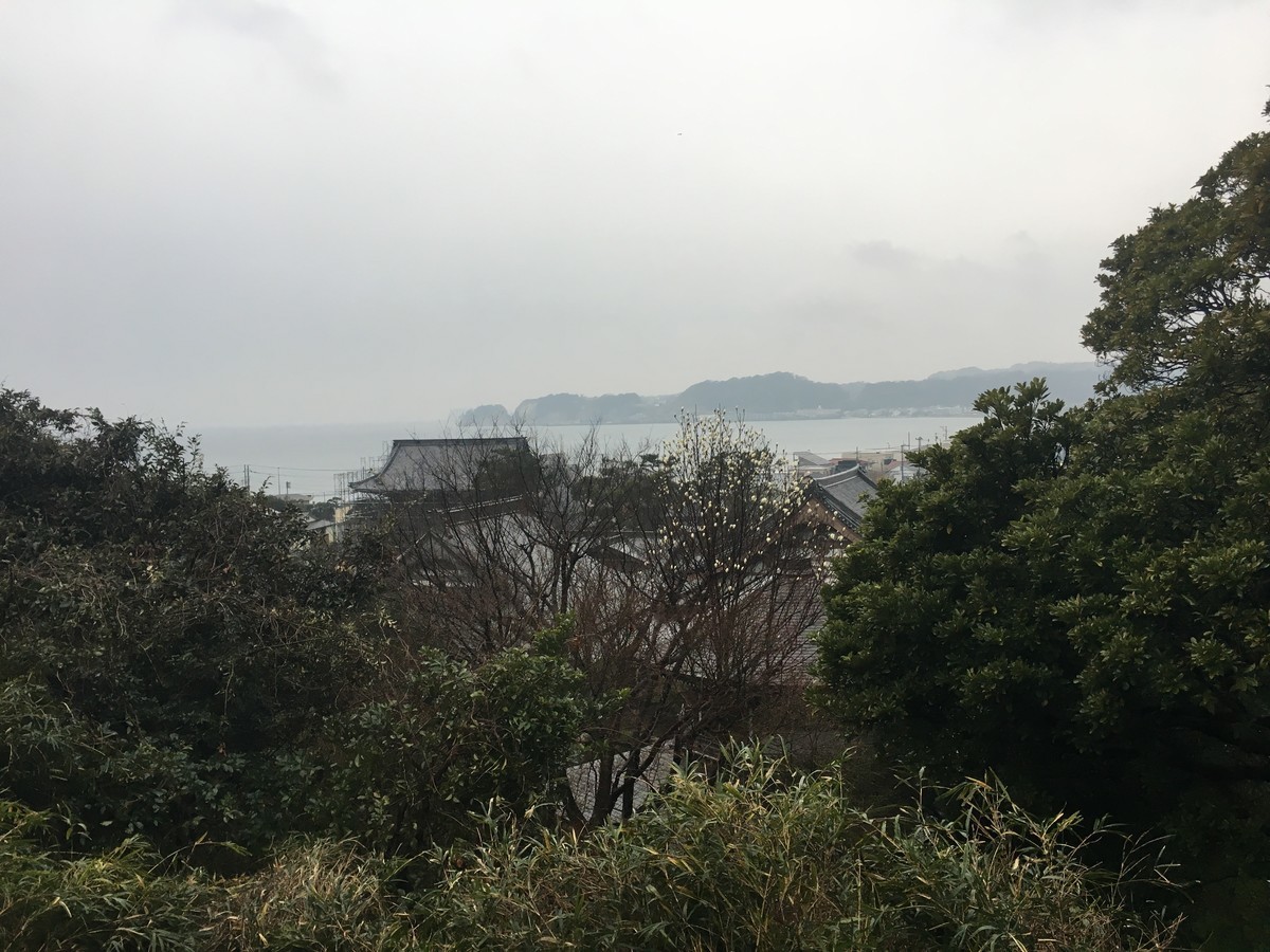 f:id:kiyasu:20200308225008j:plain f:id:kiyasu:20200308225008j:plain