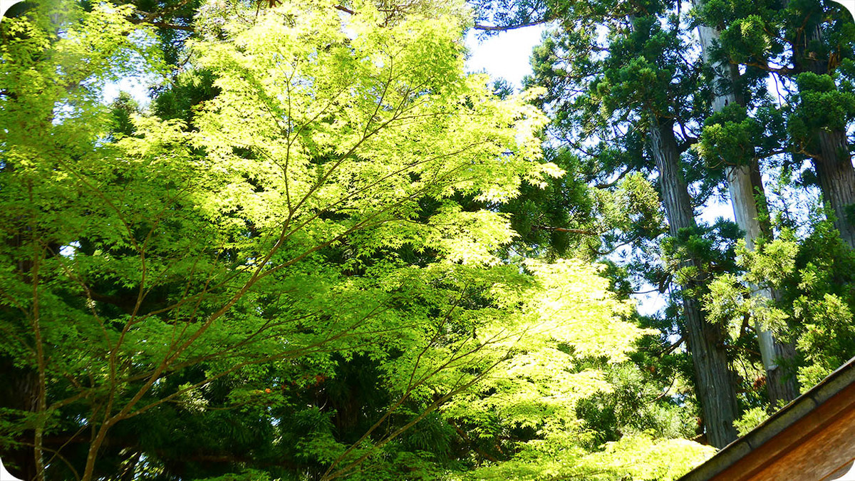 f:id:kiyasu:20200314225114j:plain f:id:kiyasu:20200314225114j:plain