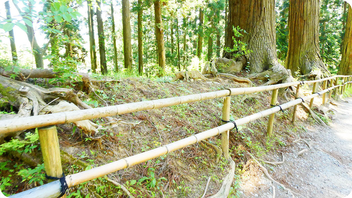 f:id:kiyasu:20200314225136j:plain f:id:kiyasu:20200314225136j:plain