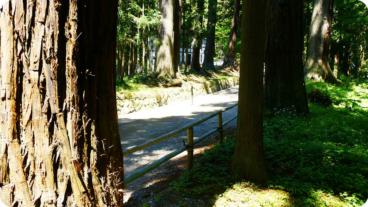 f:id:kiyasu:20200314225143j:plain f:id:kiyasu:20200314225143j:plain