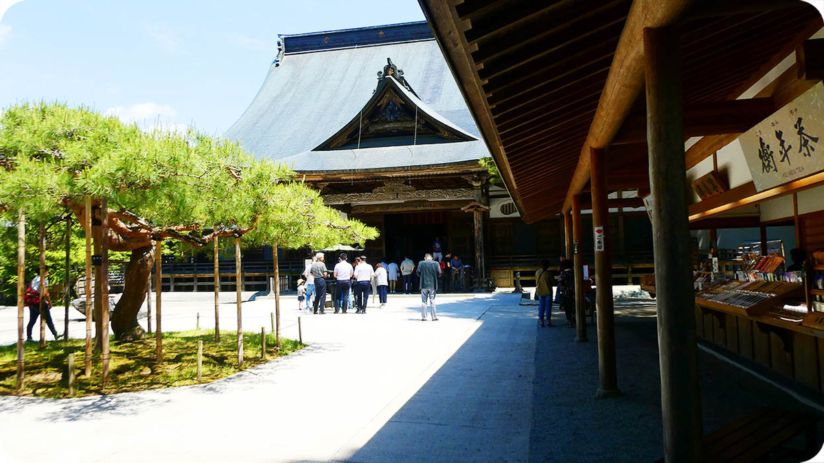 f:id:kiyasu:20200314225148j:plain f:id:kiyasu:20200314225148j:plain