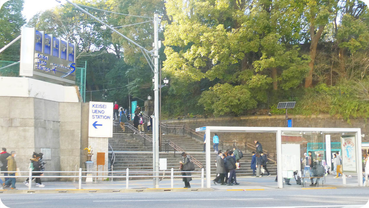 f:id:kiyasu:20200315193216j:plain f:id:kiyasu:20200315193216j:plain