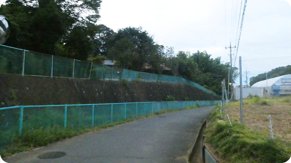 f:id:kiyasu:20200315193221j:plain f:id:kiyasu:20200315193221j:plain