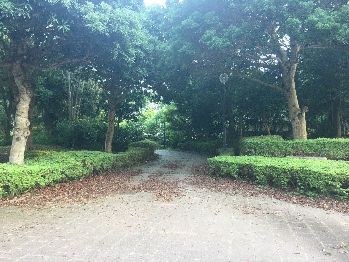 f:id:kiyasu:20200801170549j:plain f:id:kiyasu:20200801170549j:plain