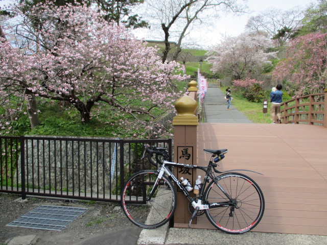 f:id:kiyatchi:20190430212250j:plain f:id:kiyatchi:20190430212250j:plain