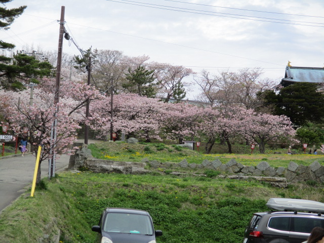 f:id:kiyatchi:20190430212454j:plain f:id:kiyatchi:20190430212454j:plain