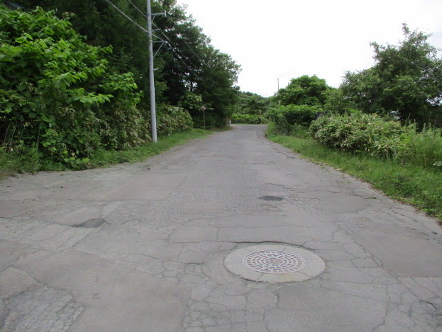 f:id:kiyatchi:20190630201619j:plain