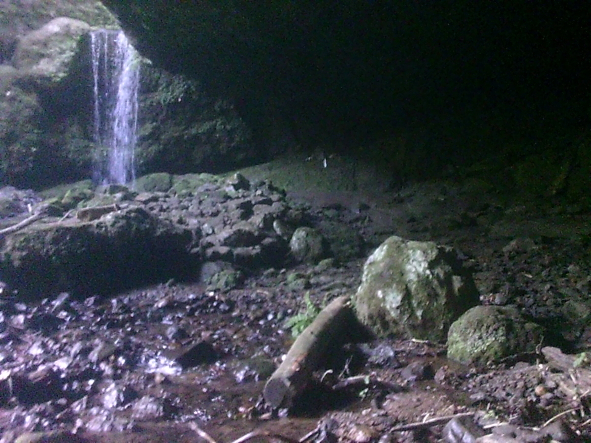 f:id:kiyatchi:20190708061547j:plain