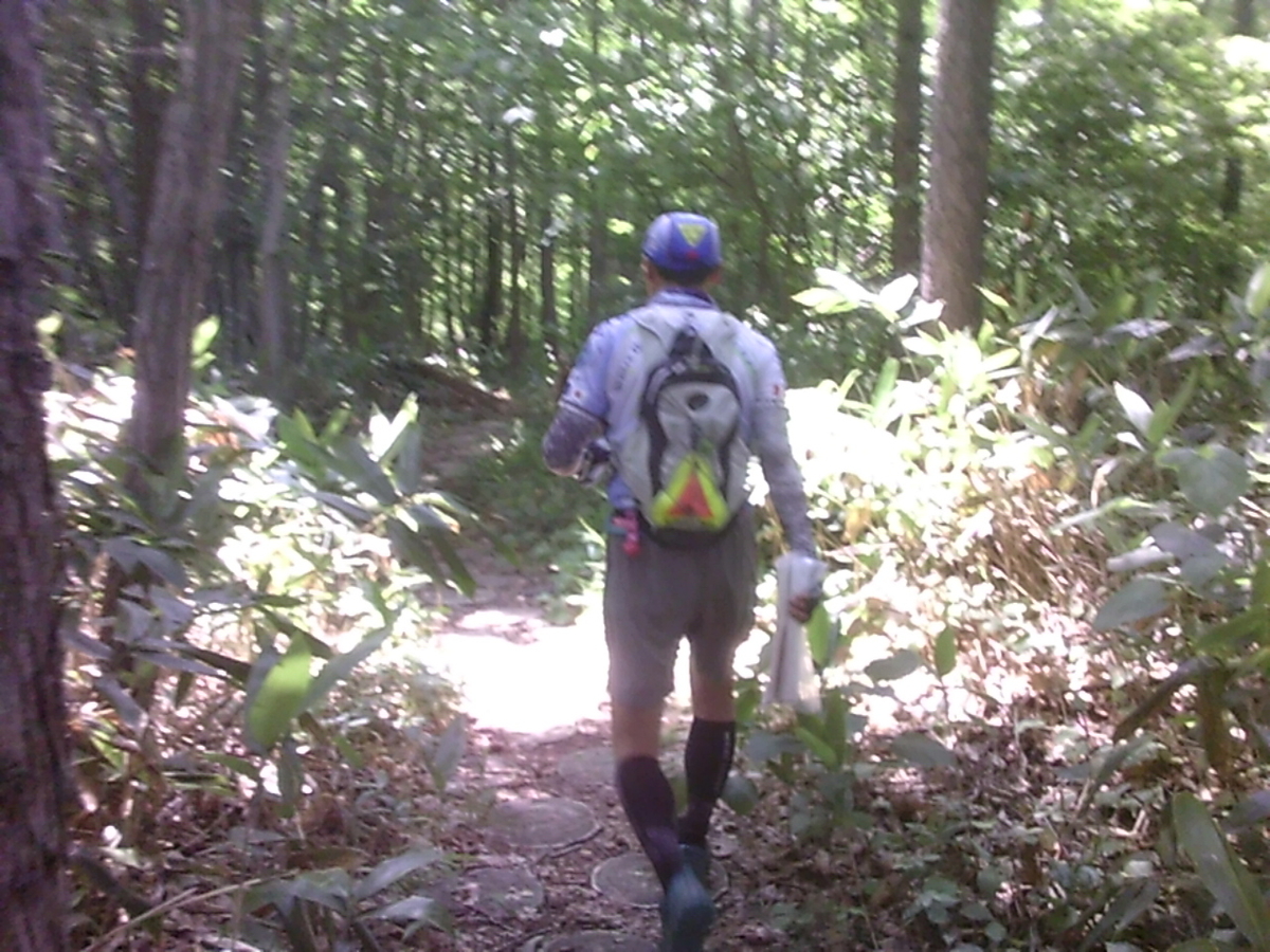 f:id:kiyatchi:20190708063552j:plain